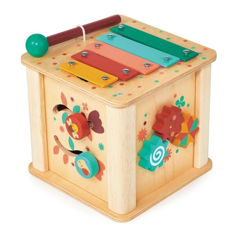 Montessori Mentari Activity Cube