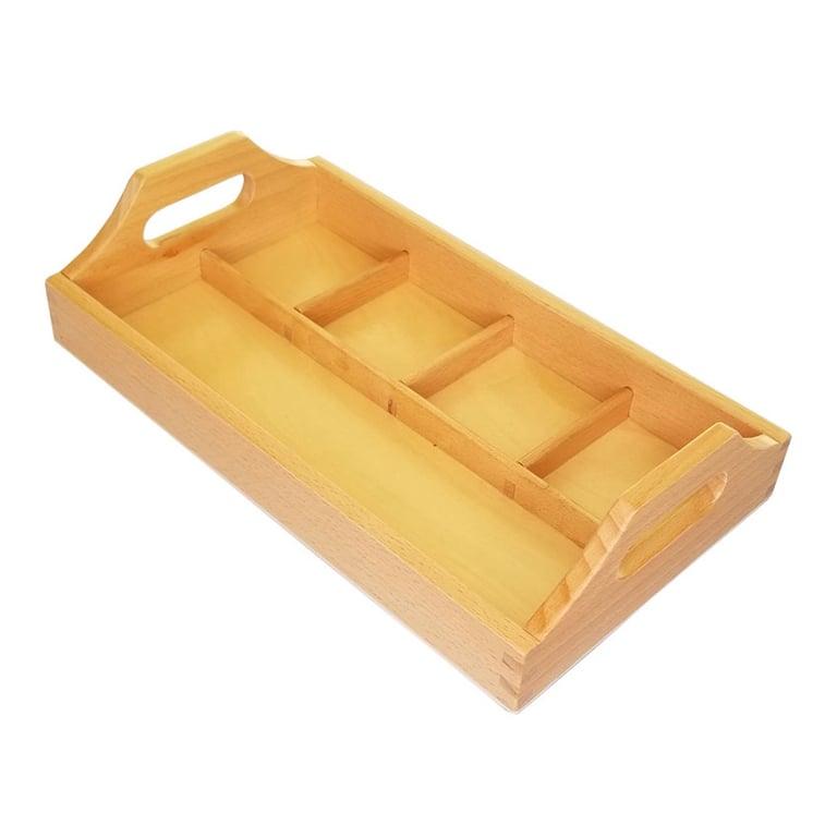 Montessori Thinkamajigs Sorting Tray