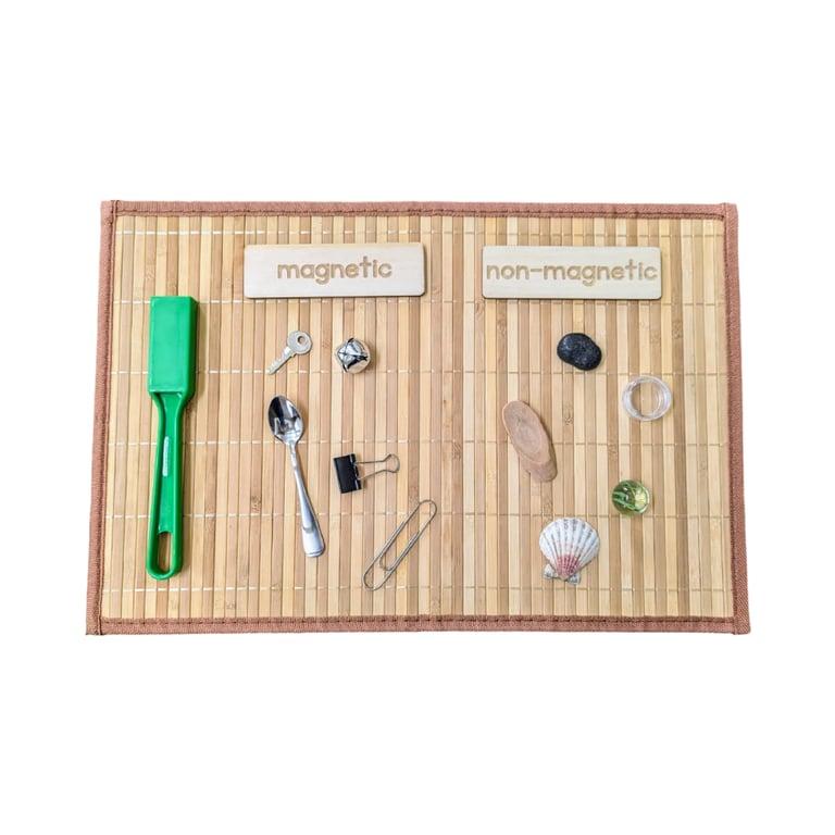 Montessori Arbor Inspirations Magnetic and Non-Magnetic Sorting Set