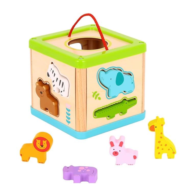 Montessori TOOKYLAND Wooden Animals Shape Sorting Cube 9 Pieces