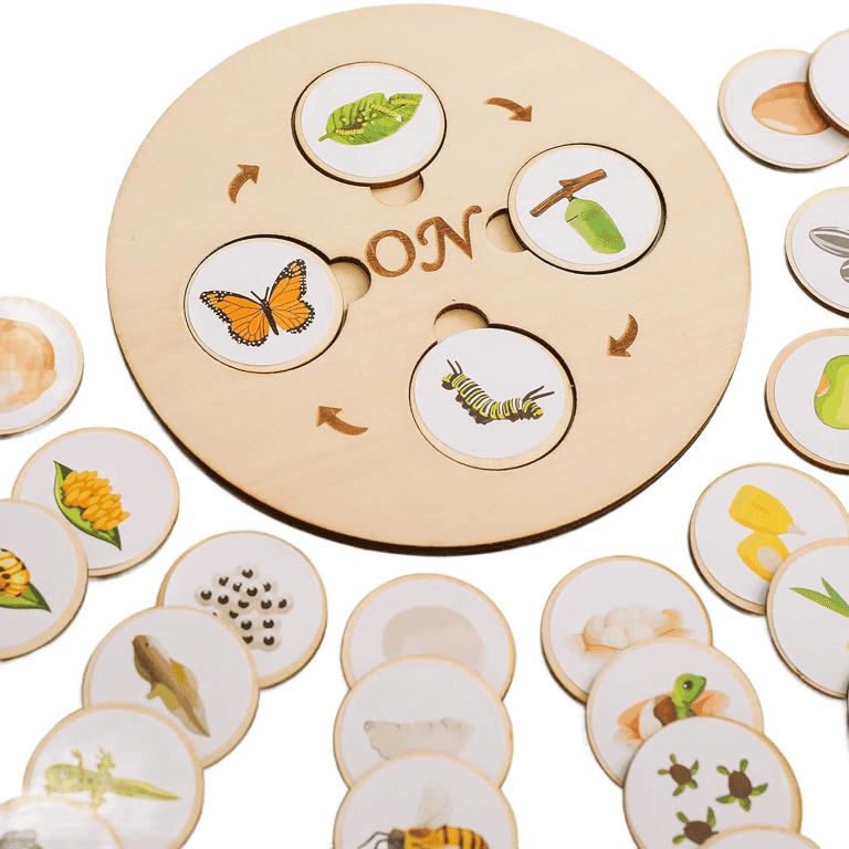 Montessori Samonyed Life Cycle Tray Set