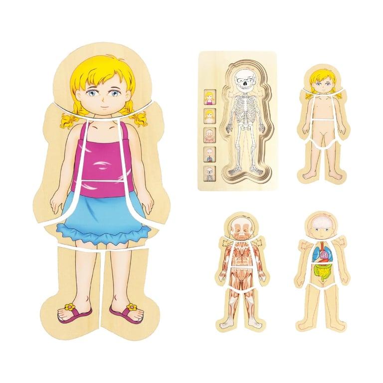 Montessori WOODENFUN Human Body Anatomy Play Set Girls