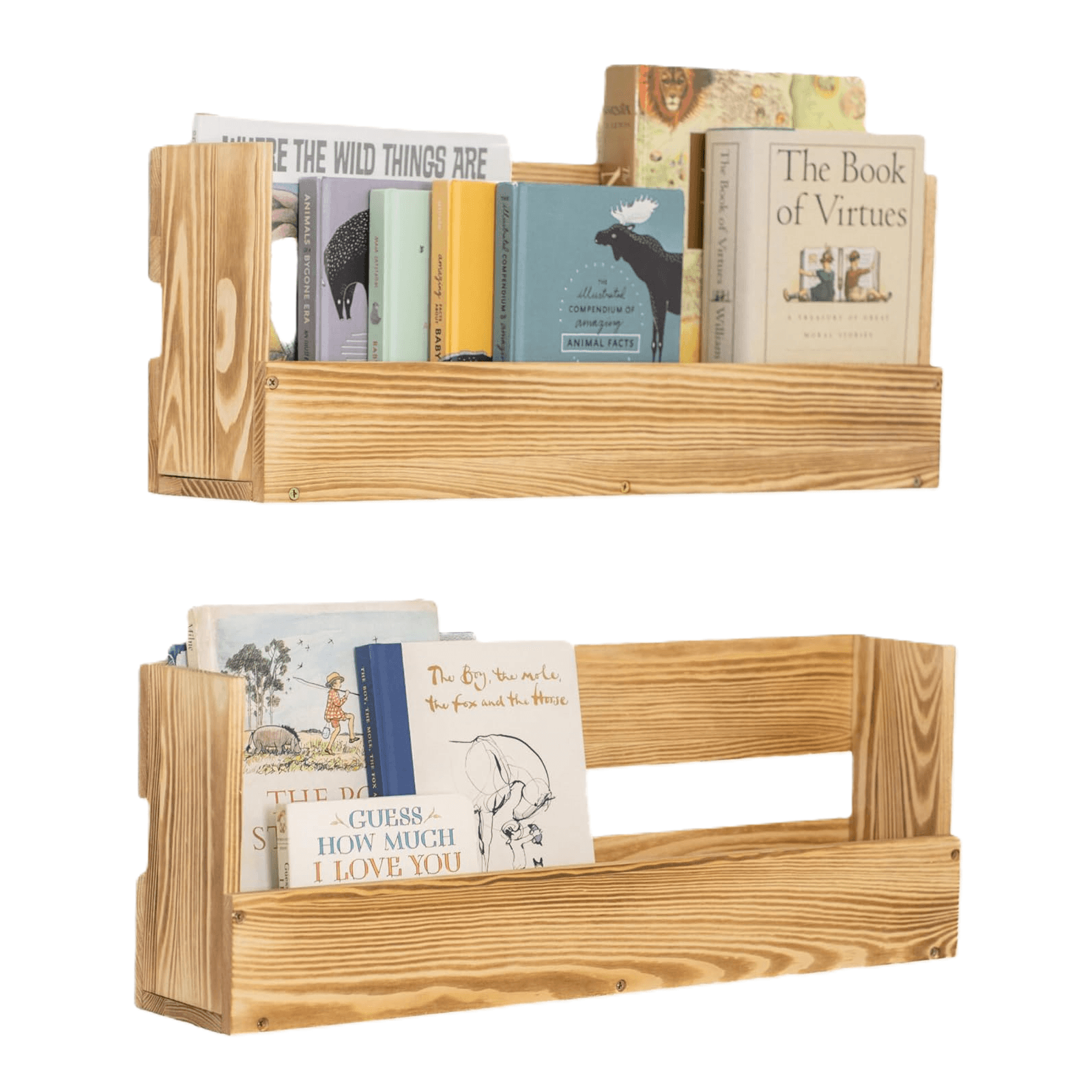 Montessori NOISY DIRT DESIGNS Set of 2 Floating Bookshelves